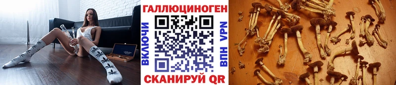 Псилоцибиновые грибы Magic Shrooms  Купить где  Губкинский 